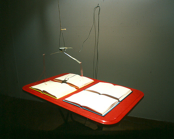 Grasping and Clinging installation